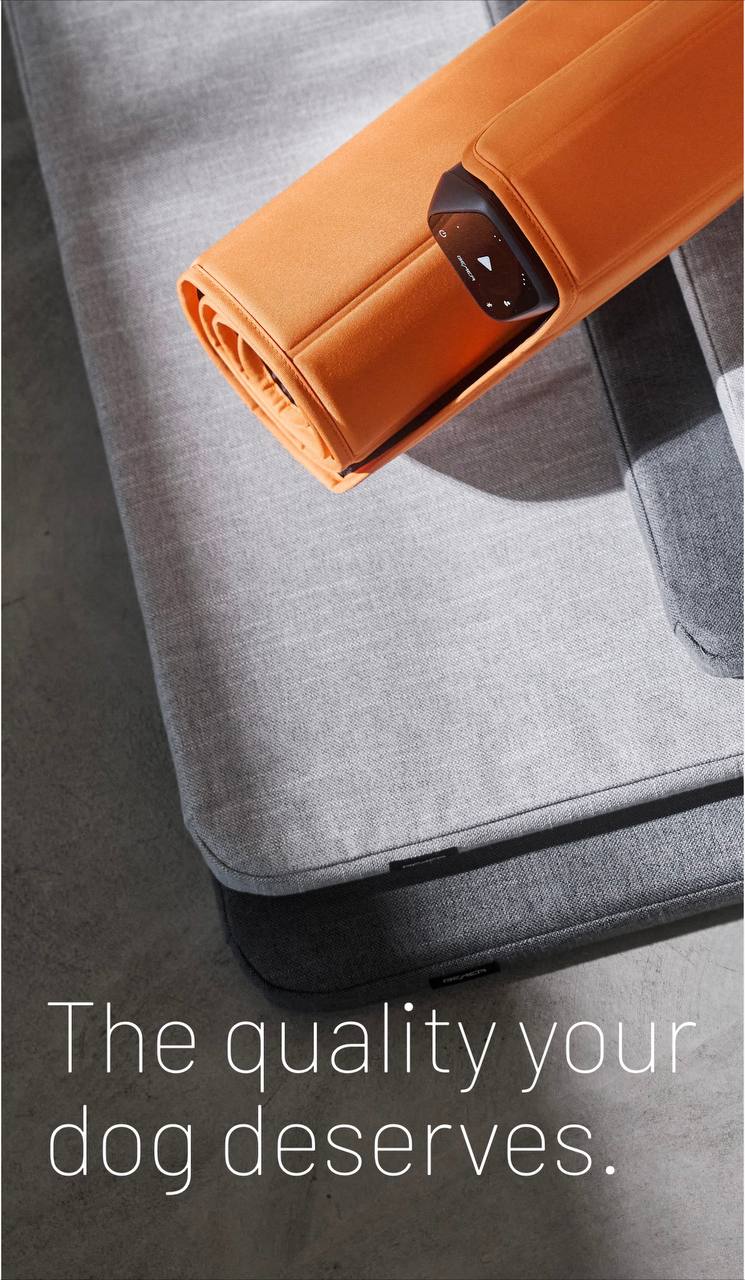 Bemer Hunde Set Dog Set Neuigkeiten!